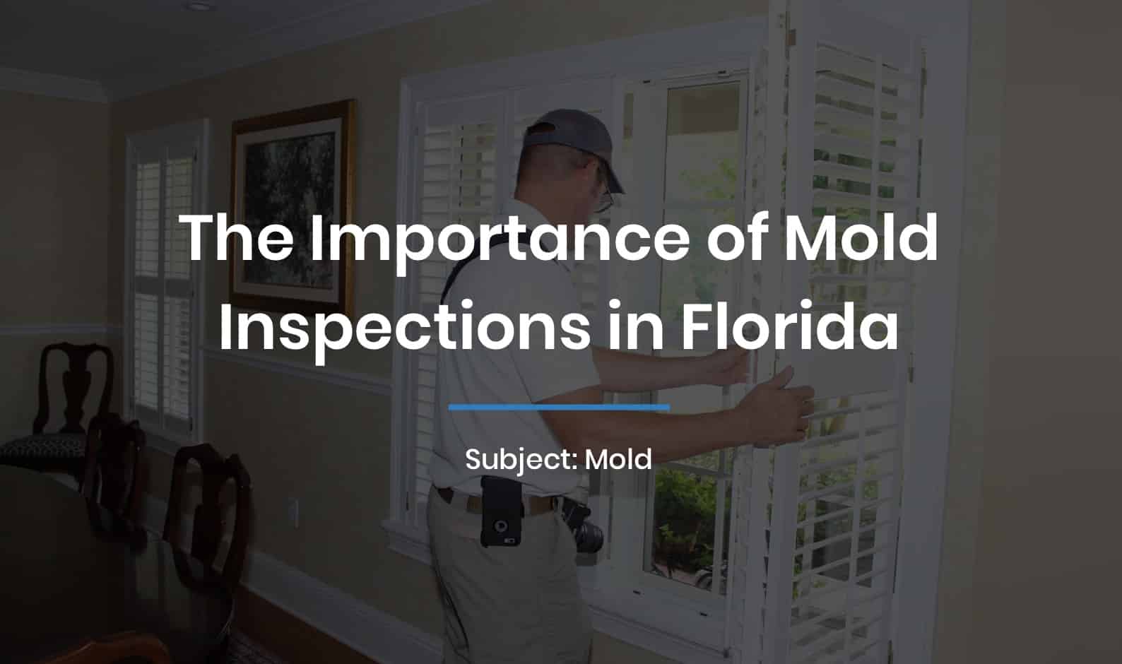 The Importance of Mold Inspections in Florida
