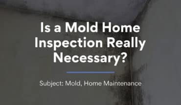 Is a Mold Home Inspection Really Necessary?