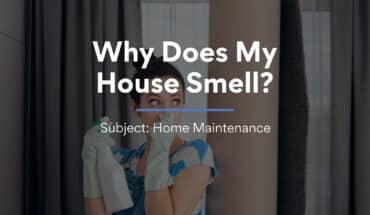 Why Does My House Smell?