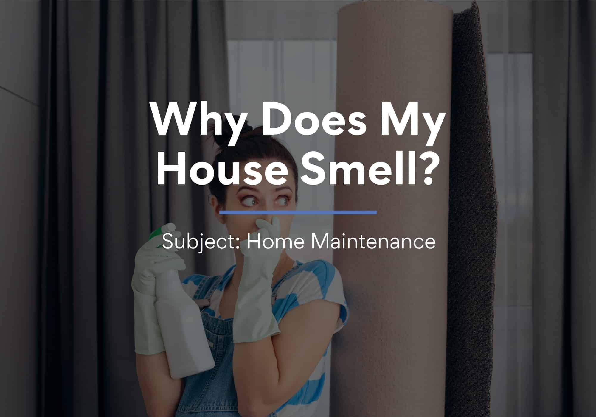 Why Does My House Smell?